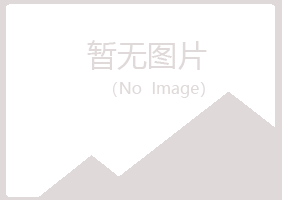 嵩明县白山造纸有限公司